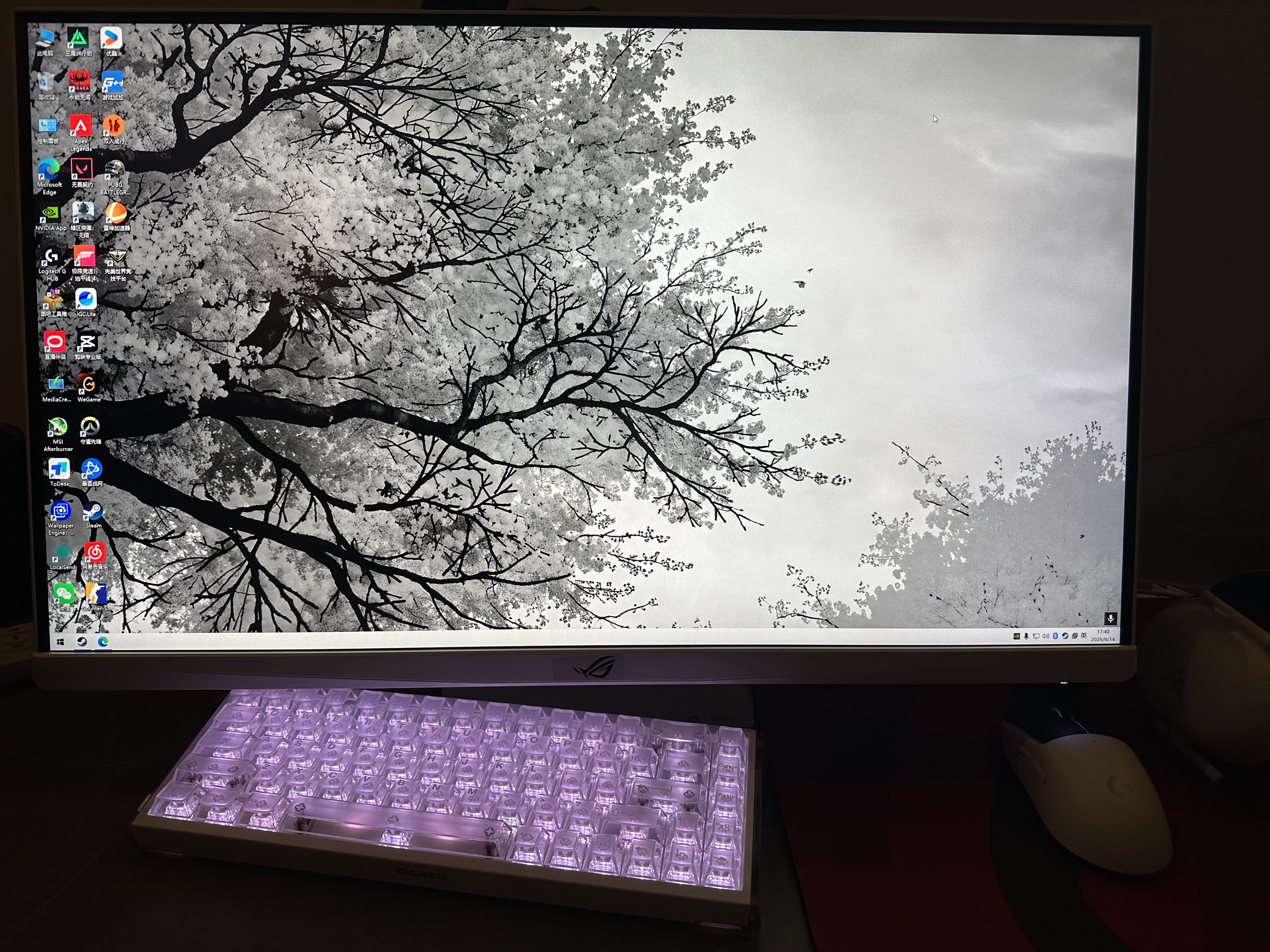 华硕ROG XG27ACMEG-W 27英寸显示器2K电竞显示器2K 240Hz超频260Hz HDR400 G-Sync 0.3ms响应 HDMI 2.1 实拍图