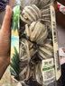 丙田 海南鹧鸪茶20球 海南茶叶球蟅鸪老爸茶早凉茶非三亚鹧鸣特咕茶产 实拍图