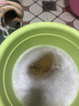 皇家猫粮 幼猫奶糕 幼猫猫粮 BK34 通用粮 1-4月 2KG 实拍图
