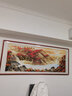 迅典国画山水画鸿运当头挂画客厅装饰画办公室字画风水画沙发背景墙画 Q款【鸿运当头】 【推荐】实木带框203*83CM(有机玻璃） 实拍图
