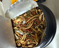 龟真寿 六合一龟粮 300g  乌龟饲料巴西龟虾干面包虫鱼干六拼草龟海鲜粮 实拍图