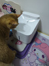 米家无线智能宠物饮水机2 小米猫咪饮水机喂水器自动循环 猫咪喂水机 实拍图