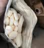 艾唯倪（ivenet）进口米饼 儿童零食米饼干 无额外添加糖盐 低钠 原味30g 实拍图