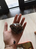 燕之雁 鱼缸造景天然海螺贝壳+仿真海星 海底装饰摆件 约80个带网袋400g 实拍图