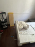 塞伦盖蒂护理床老人家用多功能医疗医用病床医院瘫痪病人专用可自大小便A1 中曲加厚升级 实拍图