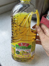 鲁花 【保真花生油】食用油 5S物理压榨 压榨一级花生油900ml 小包装 实拍图