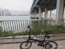 大行（DAHON）P8折叠自行车经典成人20英寸8速折叠车男女式运动单车KBC083 消光黑【经典版】 实拍图