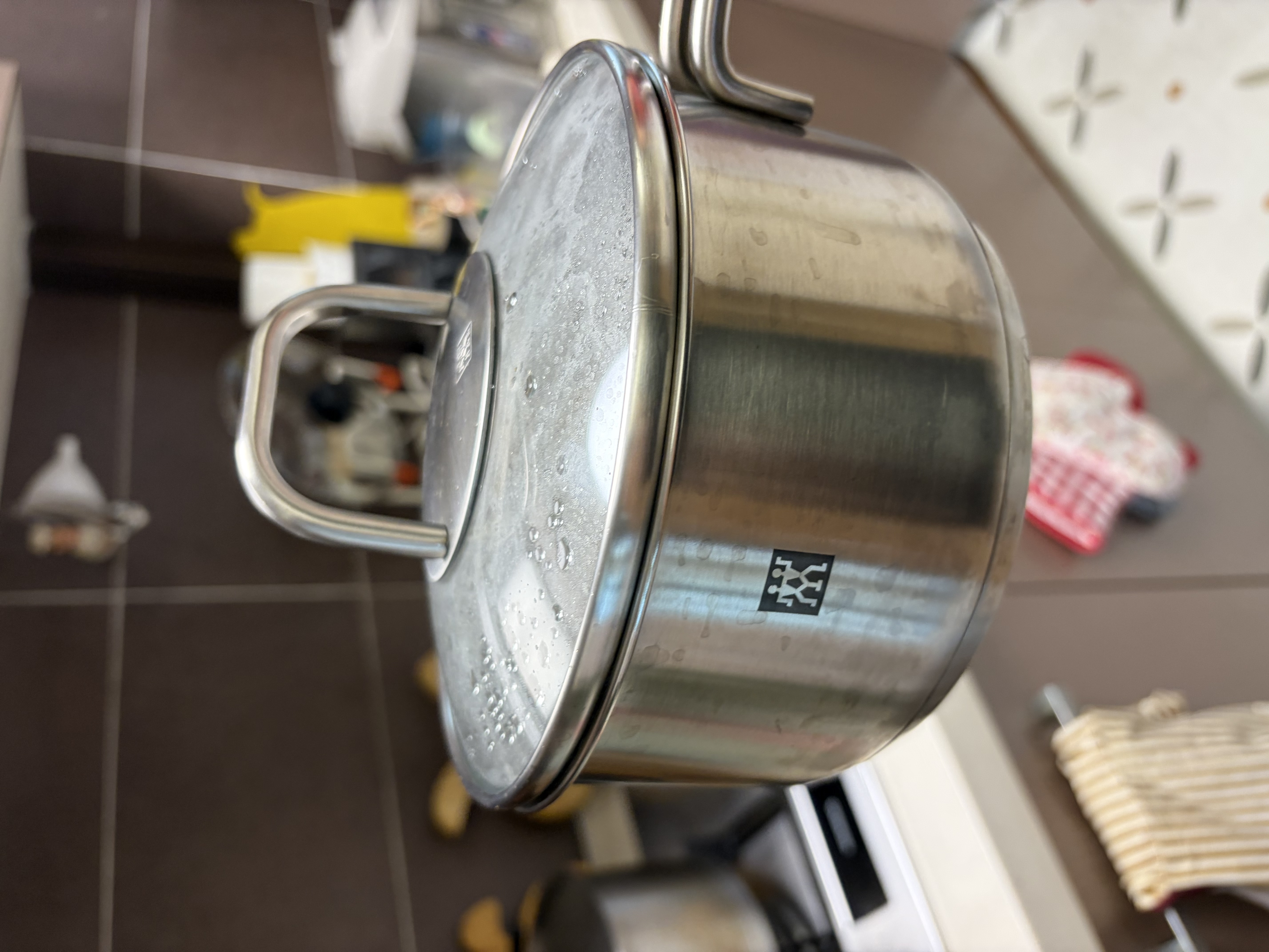 双立人（ZWILLING）不锈钢奶锅小汤锅婴儿辅食锅16cm热奶锅小蒸锅电磁炉小锅泡面锅 奶锅+蒸笼2件套 16cm 实拍图