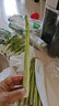 有机汇有机紫甘蓝 紫包菜卷心菜 沙拉轻食榨汁有机蔬菜 新鲜无农残 500g 实拍图