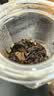 泾渭茯茶黑茶 过节礼盒 咸阳茯茶 陕西西安特产 金花茯砖茶  150g块泡1368 实拍图