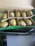 佳沛（zespri）新西兰阳光金果10个装单果重约103-114g 水果礼盒 猕猴桃 实拍图