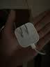 Apple/苹果 40W type-c快充充电器 苹果usb-c原装充电头 旗舰店新款苹果iPhone 17 Pro Max充电器 实拍图