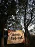 小林康夫去油污渍神器衣服去油王250ml 衣领净衣物顽固清洗剂干洗剂校服净 实拍图