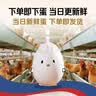 京鲜生【供港品质】【每日鲜蛋】无抗谷物鸡蛋30枚3.78斤当日产蛋当日发 实拍图