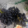 京鲜生 蓝宝石葡萄 金手指无籽黑提 尝鲜装2-2.5斤 易掉粒 生鲜水果 实拍图