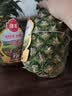 佳农菲律宾进口菠萝2个装 凤梨 单果净重2斤 源头直发 生鲜水果 包邮 实拍图