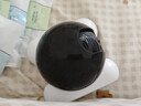 群牧眼移动摄像头全屋行走机器人可语音对话宠物bot家用遥控智能远程监控360度无死角高清夜视猫狗看护器 机器人摄像头【五年4G免费流量】 实拍图