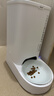 小佩智能自动喂食器SOLO白色 定时定量猫咪自动投食器(支持鸿蒙智联) 实拍图