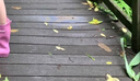双星八特时尚雨鞋中高筒女士成人 耐酸碱耐磨防滑防臭轻便赶海防雨防水雨靴樱花粉【中筒35cm】 39 实拍图