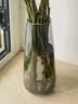 盛世泰堡 玻璃花瓶透明水养植物容器插花瓶客厅桌烟灰色22cm 实拍图