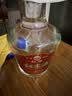 红荔 米香型白酒 40度 浸泡酒2.5L 红米酒泡酒广东米酒泡酒青梅果酒 实拍图