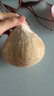 佳沃（JOYVIO）泰国进口香水椰皇 6粒装 400g～500g/粒 水果 源头直发包邮 实拍图