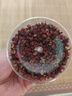 川珍一级红花椒110g【配料干净】武都大红袍干麻椒火锅底料香辛调味料 实拍图