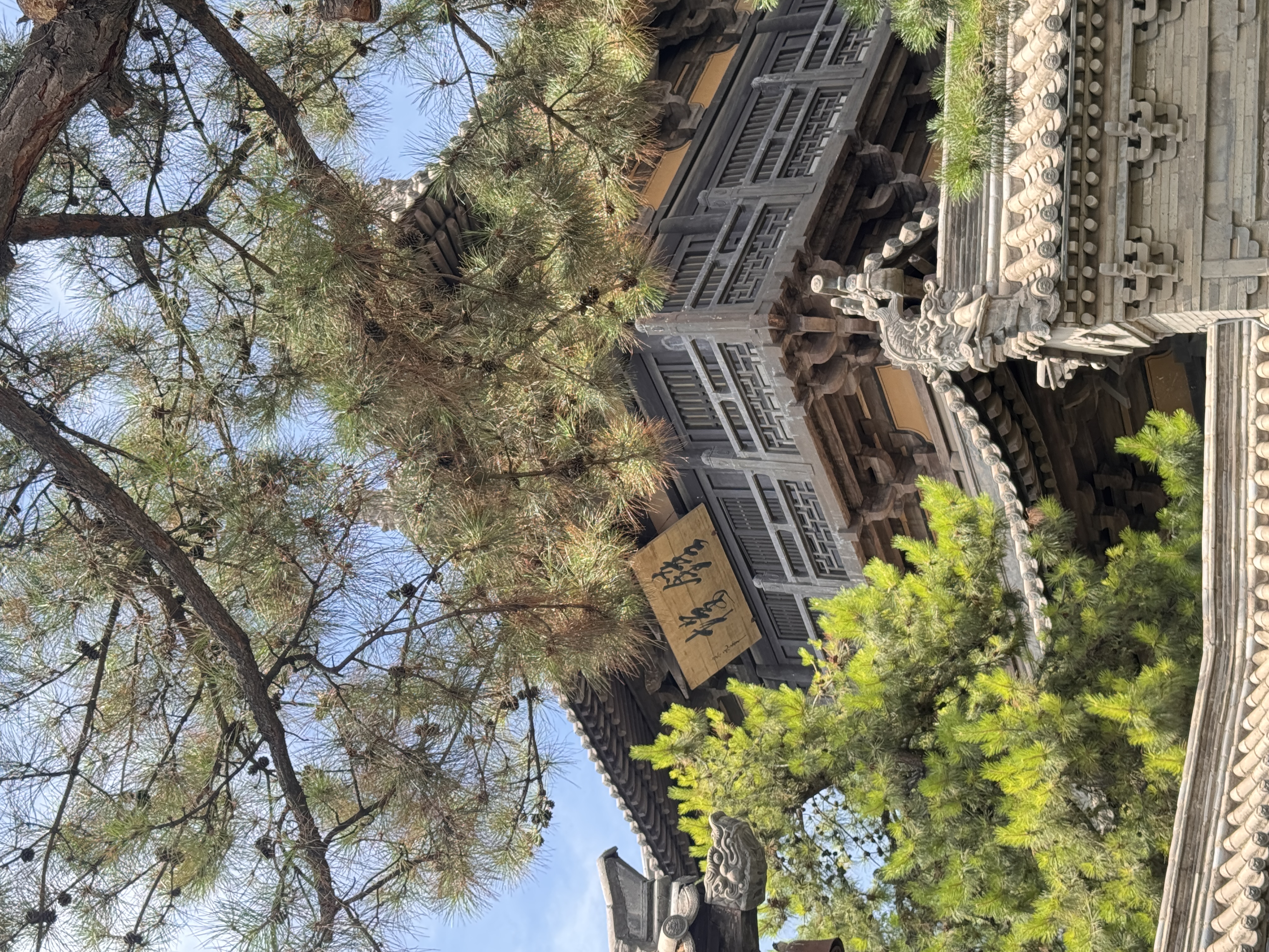 蕉下（beneunder）防晒袖套冰袖男款冰丝凉感袖套夏季新款防紫外线套袖骑行AL375 实拍图