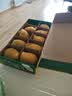 佳沛（zespri）新西兰阳光金果10个装单果重约103-114g 水果礼盒 猕猴桃 实拍图