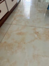鲨客蒸汽拖把家用厨房蒸汽清洁机拖地洗地机助手 高温蒸汽除菌电动手持洗地机吸尘器伴侣 P39lite标准版 实拍图