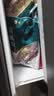 獐子岛 冷冻整只鱿鱼1斤 铁板鱿鱼火锅烧烤食材 海鲜生鲜水产原料 实拍图