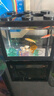桌面鱼缸小型家用积木缸生态缸水族箱斗鱼缸带小夜灯氛围灯摆件 黑色斗鱼缸【不带灯】 实拍图