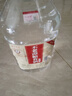 不老潭粮食酒 桶装高度泸州糯红高粱酒浓香型散装白酒纯粮壹号 42度 5L 实拍图