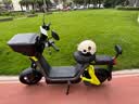 九号（Ninebot）【新国标电自】九号电动Fz1 60电动自行车9号智能电动车【门店自提】 到门店选颜色 实拍图