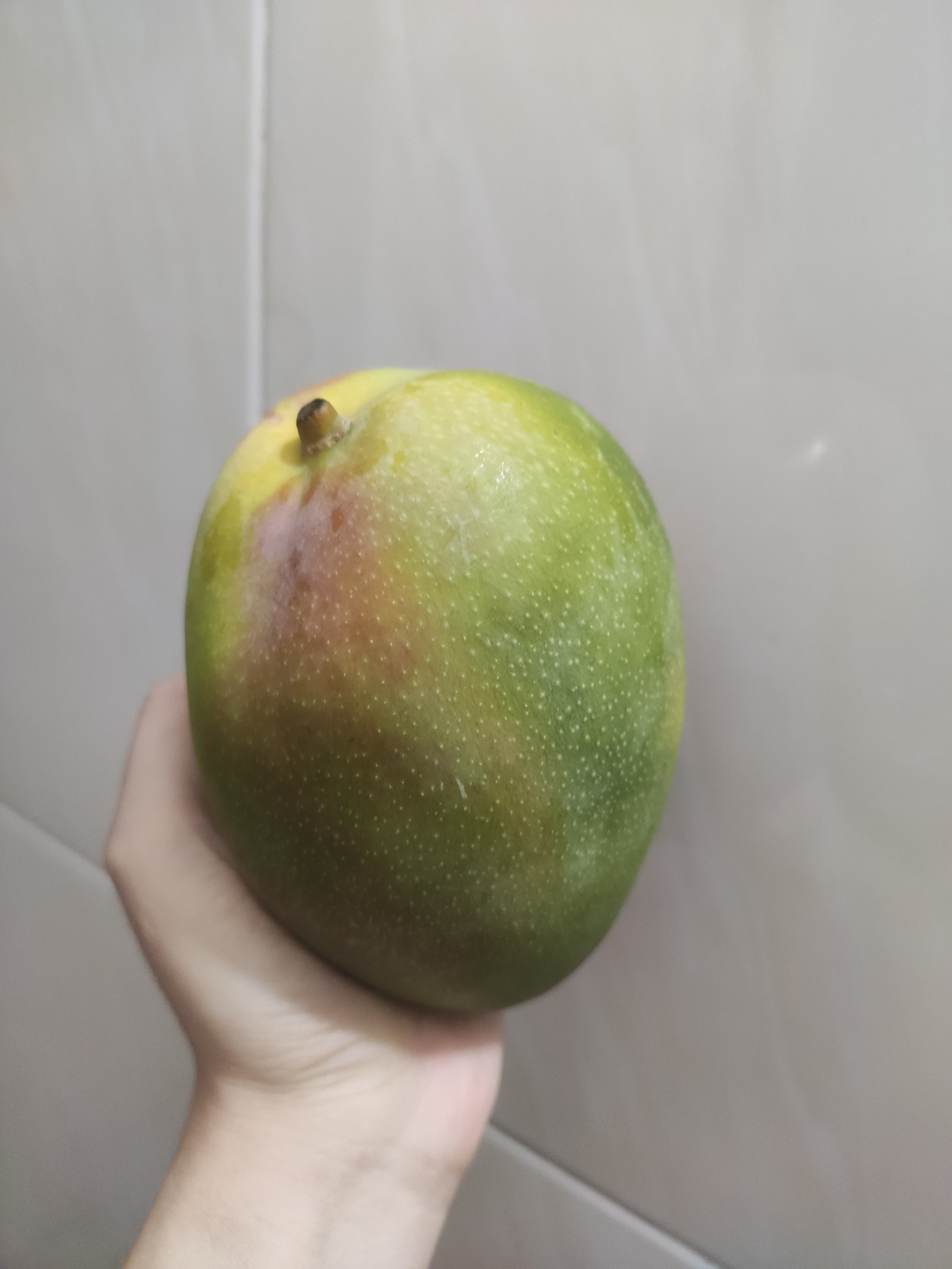 京鲜生云南凯特芒果 净重4.5斤 单果400g 生鲜水果 源头直发 实拍图