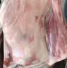 滩洋鲜生宁夏滩羊肉 原切羔羊排净重3斤 生鲜冷冻羊肉烧烤手抓清炖 开羊季 实拍图