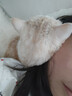 petshy绿茶豆腐混合膨润土猫砂20斤绿茶植物除臭香味无尘京东自营明日达 实拍图