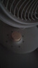 美的（Midea）【小型风扇】轻音台式桌面空气循环扇家用柔风电风扇宿舍办公迷你台扇落地扇空调伴侣 GAF18AD 实拍图