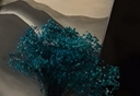 匠心绽放满天星干花永生花束节日礼物实用客厅装饰天然风干真花蓝色20276 实拍图