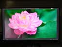 联想 27/31.5英寸4K显示器 IPS HDR400 广色域 10bit Type-C65w接口 内置音箱 旋转升降 专业设计剪辑 27英寸 电脑显示屏幕 M2721PL 实拍图