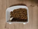 皇家猫粮 幼猫猫粮 幼猫奶糕 K36 通用粮 4-12月 2KG 实拍图