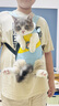 皇家猫粮 幼猫猫粮 幼猫奶糕 K36 通用粮 4-12月 4.5KG 实拍图