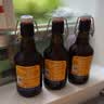 弗林博格( Flensburger)小麦啤酒 330ml*6瓶 白啤 聚会 自饮 德国原装进口 实拍图