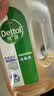 滴露（Dettol）消毒液消毒水衣物除菌液洗衣服地板杀菌除螨消毒喷雾片非84次氯酸 【小瓶尝鲜】松木250ml 实拍图