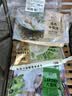 吉祥馄饨冬笋荠菜猪肉大馄饨521g 18只生鲜水饺云吞混沌早餐半成品 实拍图