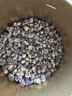 福茗源茶叶 茉莉花茶龙珠 浓香特级2026新茶花草茶茉莉香珠绣球袋装500g 实拍图