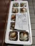 【热销百万单】正宗咸鸭蛋50g/枚饱满流油生鲜超市早餐新鲜即食 【一蛋双黄】10枚（双黄） 实拍图