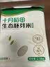 十月稻田 生态胚芽米 90%留胚 5斤(粥米 东北大米 2.5kg) 实拍图