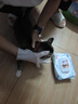 京东京造宠物免洗手套猫咪狗狗专用湿巾去味洗澡幼犬干洗清洁除臭抑菌20片 实拍图
