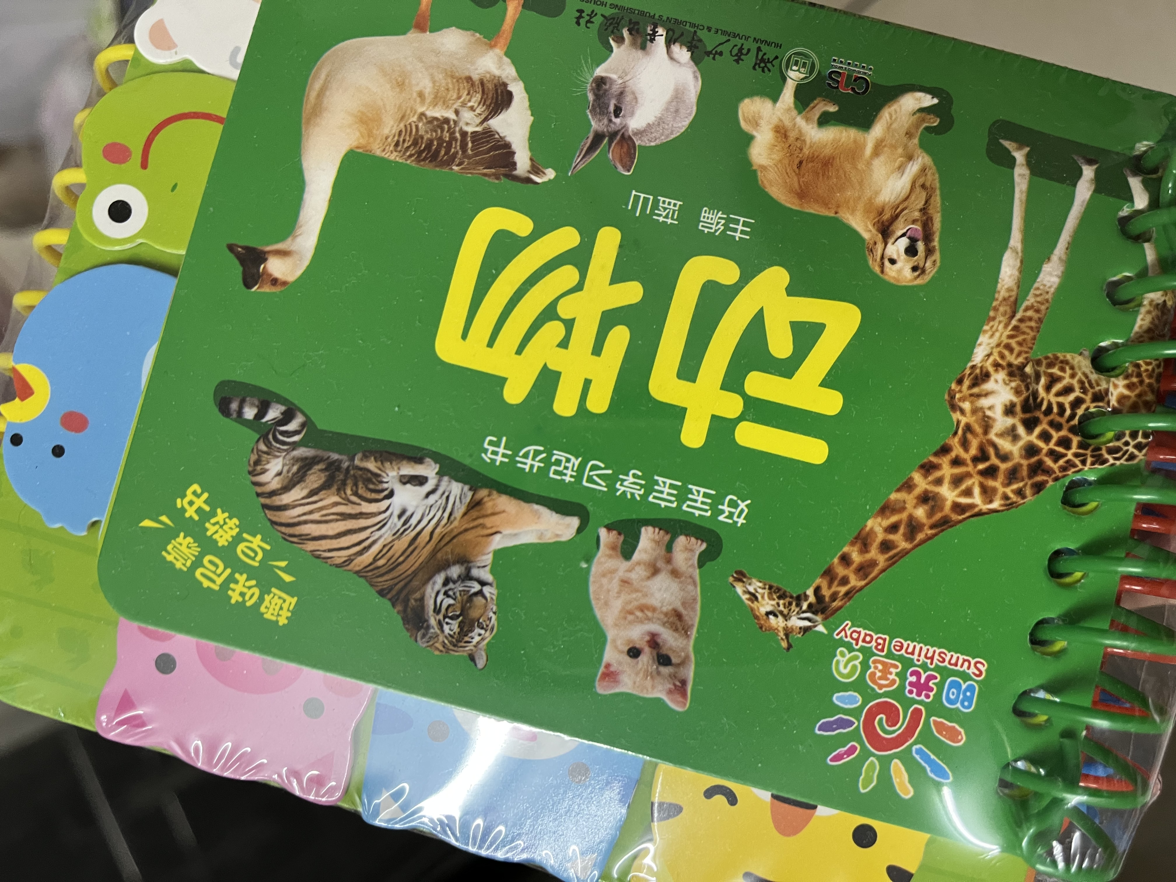 阳光宝贝 好宝宝学习起步书（套装全6册）幼儿启蒙认知早教撕不烂卡片书水果蔬菜颜色动物 暑假作业 一升二暑假衔接 小升初暑假衔接  实拍图